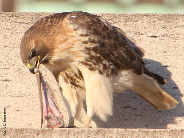 20120217WSRT06
