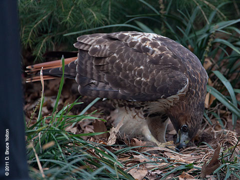 20120114WSRT07