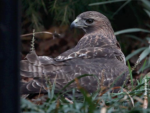20120114WSRT08