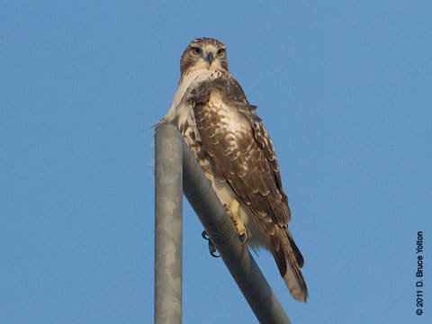 20110822_5thRT09