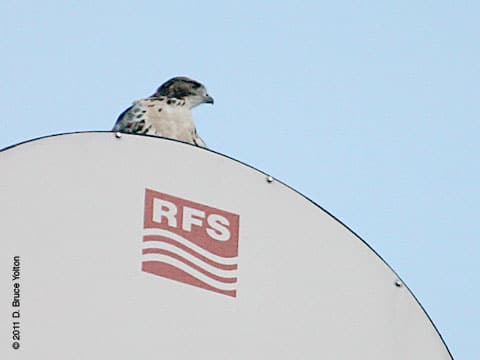 20110630WSRT07