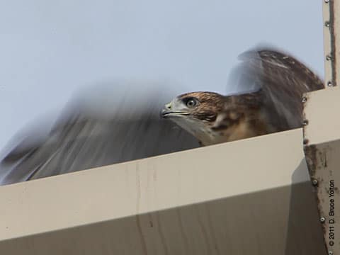 20110626WSRT15