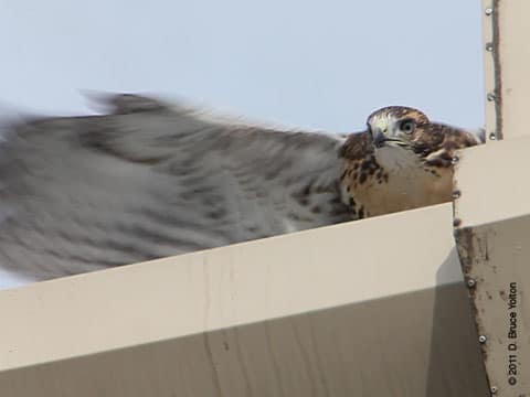 20110626WSRT16