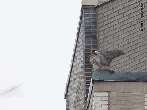 20110624WSRT02