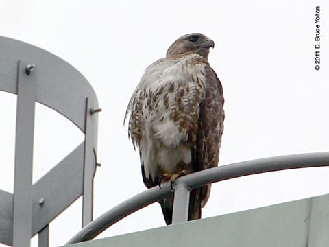 20110624WSRT08