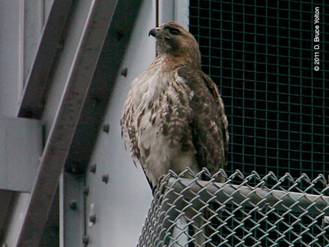 20110623WSRT06