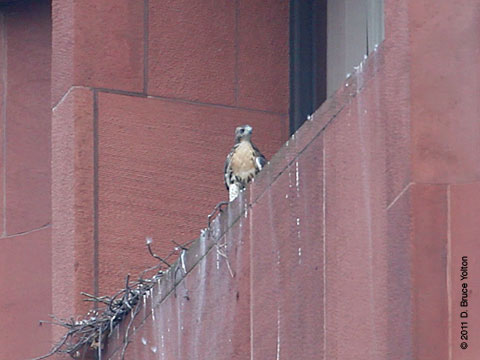 20110621WSRT03