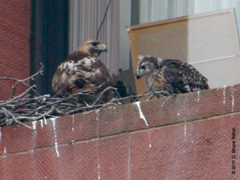 20110616WSRT10