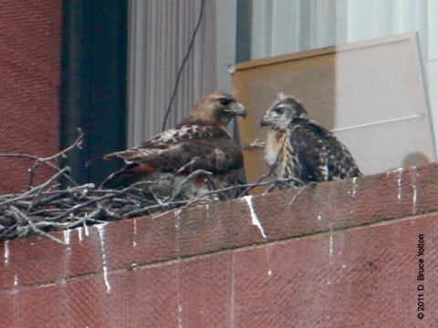 20110616WSRT11