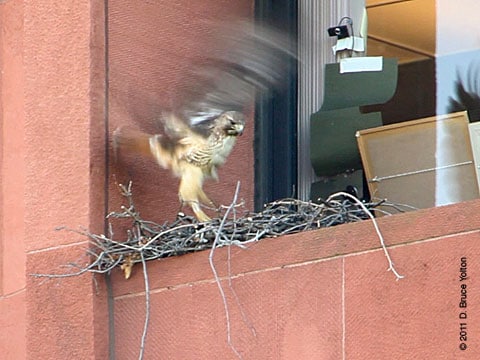 20110512WSRT09
