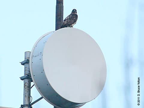 20110409WSRT06