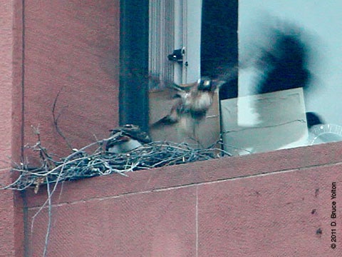 20110407WSRT12
