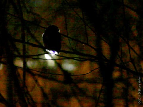 20110222ESO08