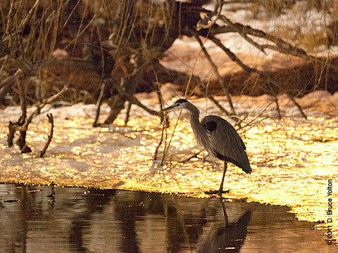 20110214GBH01