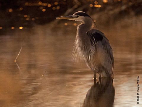 20110214GBH05