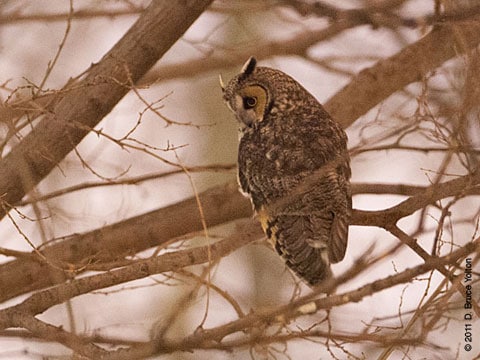 20110127LEO08