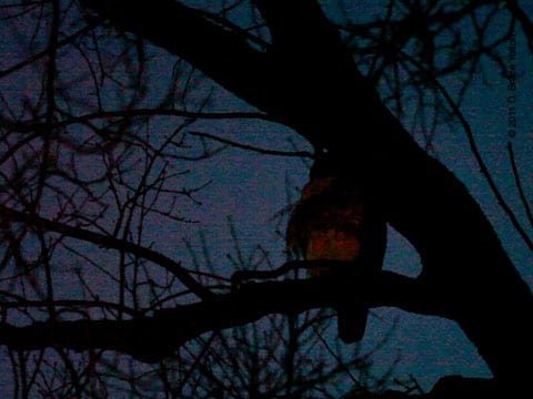 2011011410