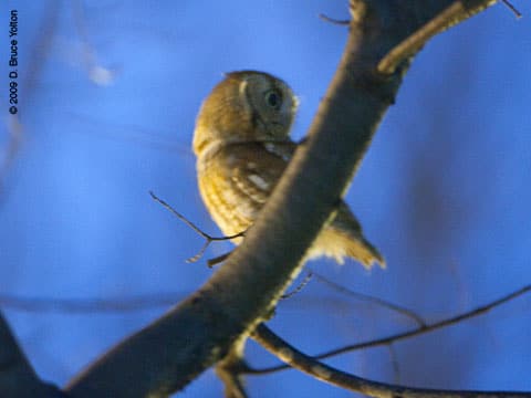 090208OWL14